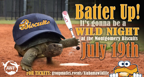 Montgomery Biscuits :: Tickets