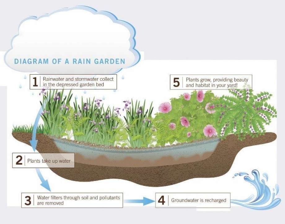 Rain Gardens - Alabama Cooperative Extension System