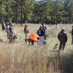 photoGallery_3831_l