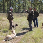 photoGallery_3840_l