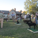 photoGallery_3858_l