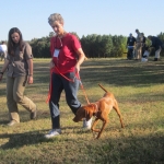 photoGallery_3862_l
