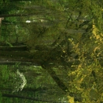 photoGallery_2140_l-rotated