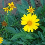 photoGallery_2222_l
