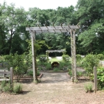 Historic Lanark Wedding