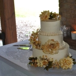 Pavilion Wedding Event