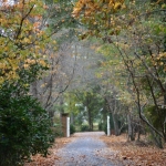 photoGallery_135_l