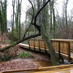 photoGallery_138_l