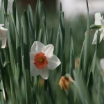 photoGallery_141_l-rotated