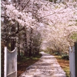 photoGallery_158_l
