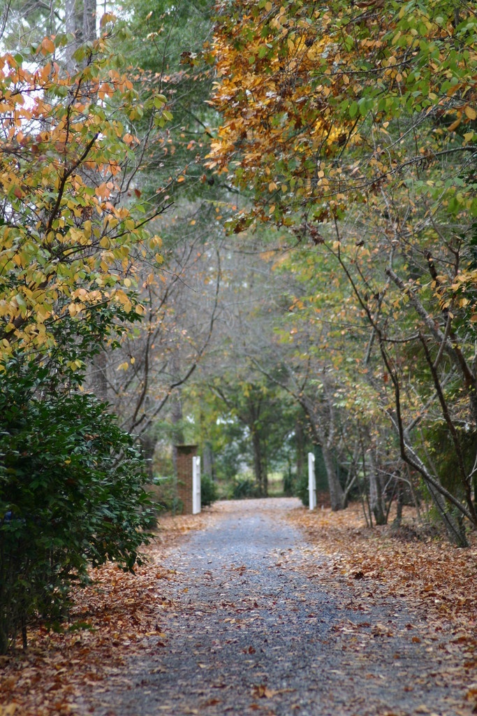 photoGallery_135_l