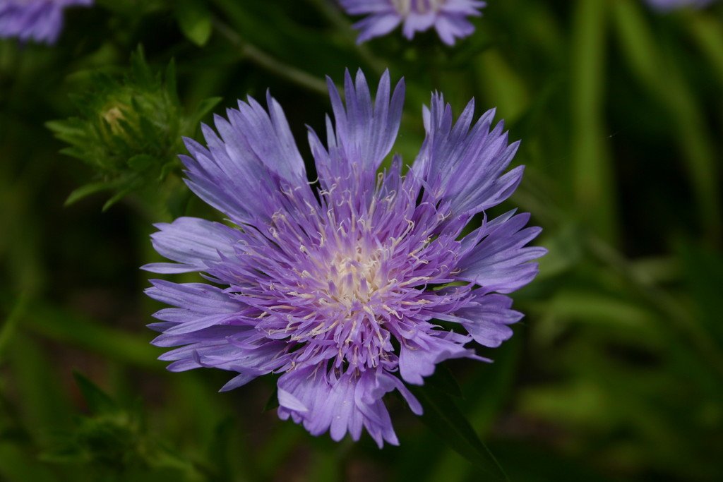 photoGallery_147_l