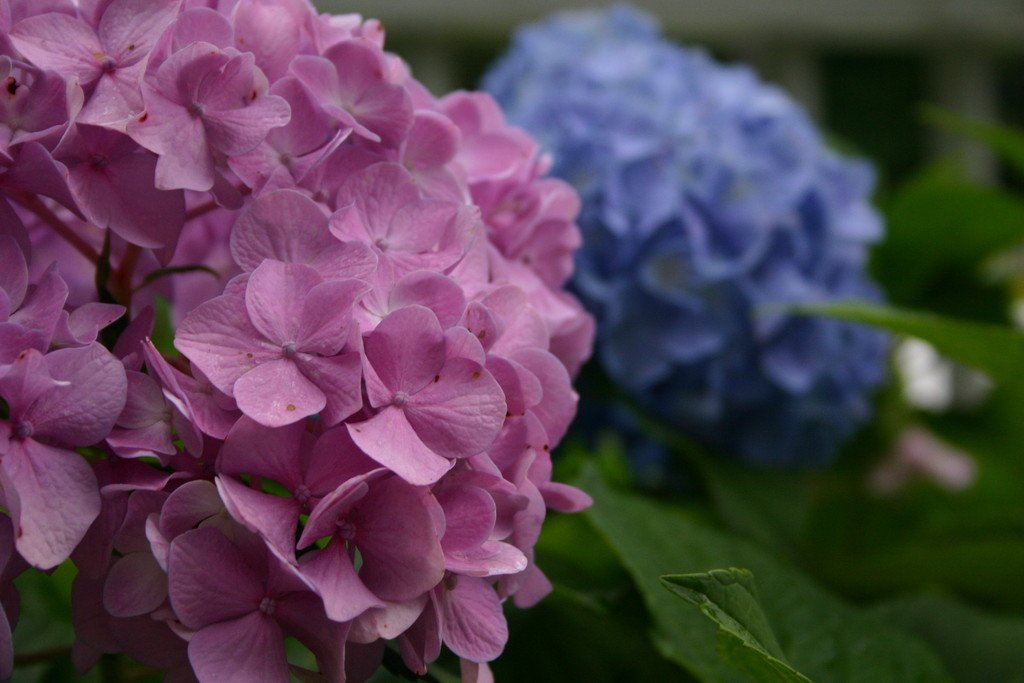 photoGallery_155_l